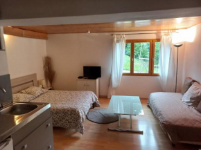 Studio de l'orme